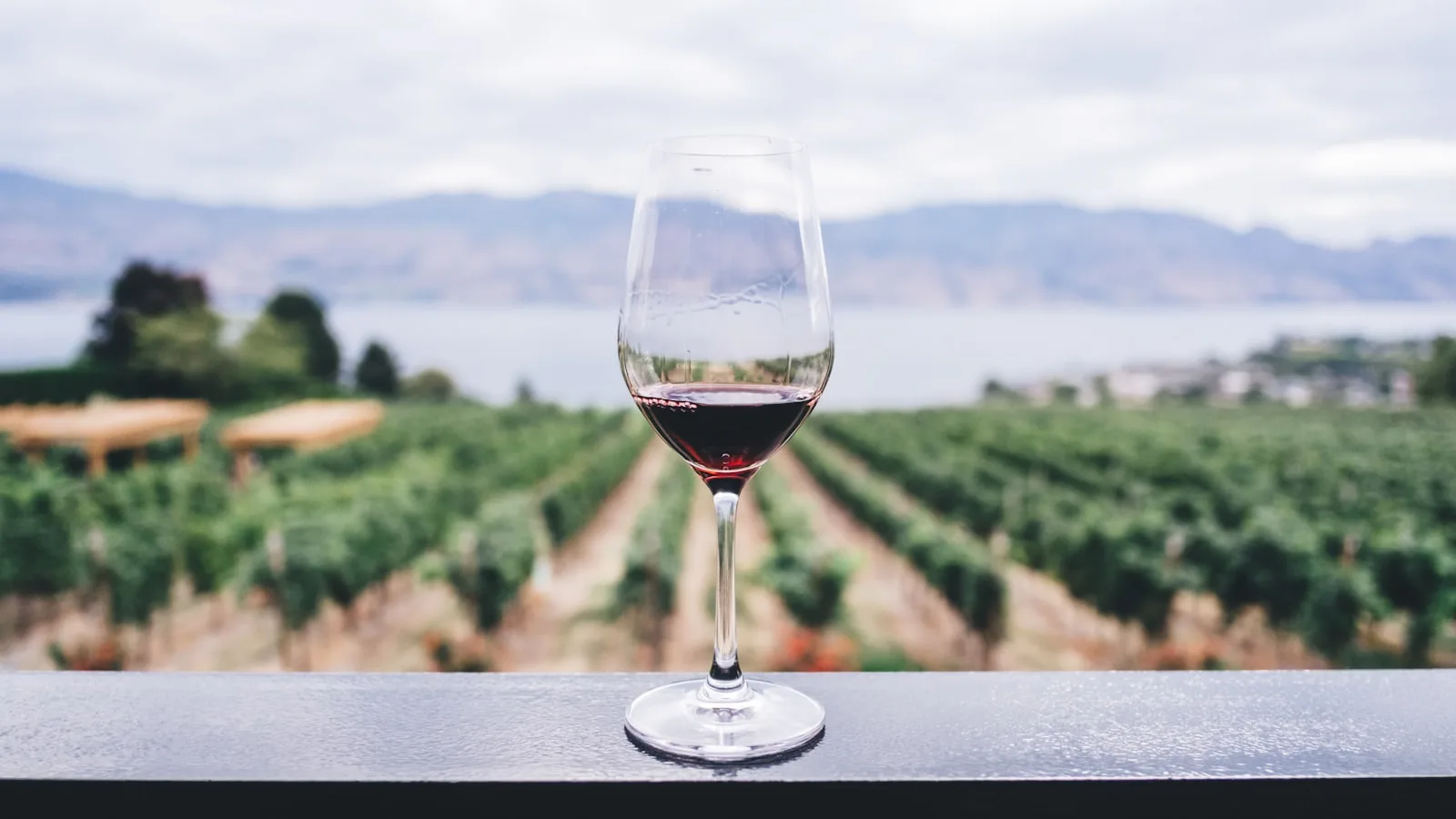 Domaine viticole privatisé pour séminaire ou soirée d'entreprise — Alma Bellum, Côte d'Azur